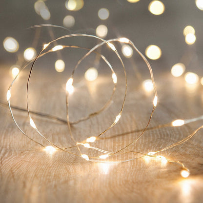 C100-YW_100-Micro-wire-firefly-fairy-lights-warm-white-silver_P3_2000x2000_cdb2c089-923c-4315-8bda-4cd09e7ef1fc.jpg
