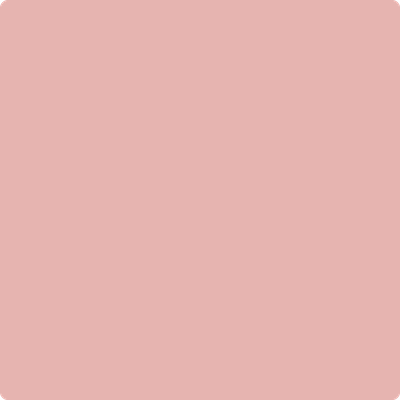 1291-Brighton: Rock Candy  a paint color by Benjamin Moore avaiable at Clement's Paint in Austin, TX.