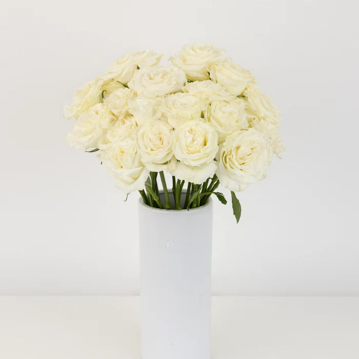 Aspen White Novelty Rose Vase - Image