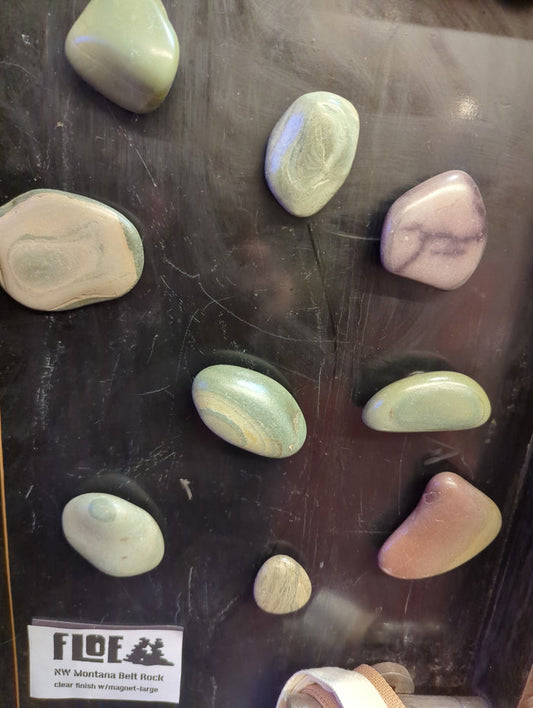 Pleistoscene Belt Rock Magnets showing magnetic clasps and polished stone surfaces in a close-up view