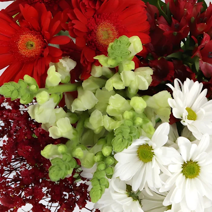 Monochromatic Red Combo DIY Flower Kit Up Close