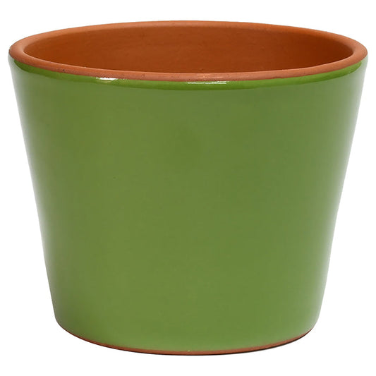 Cabo Pot 6.2" Apple