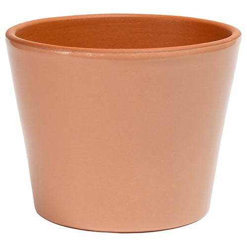 Cabo Pot 6.2" Rose