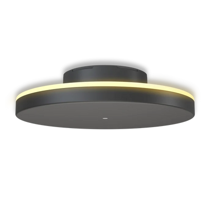 Calex Rosarno Rechargeable Wall Light - 25cm