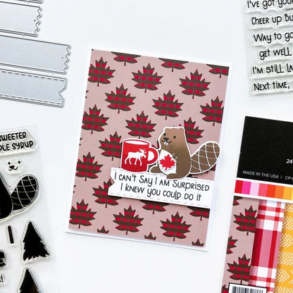 Catherine Pooler - Dies - Tickets & Tape. Tear off a ticket or tape for a fun sentiment layer die. The Ticket & Tape Dies are taller than our classic Sentiment Banner Dies and each style created in two lengths. Available at Embellish Away located in Bowmanville Ontario Canada. Card by brand ambassador.