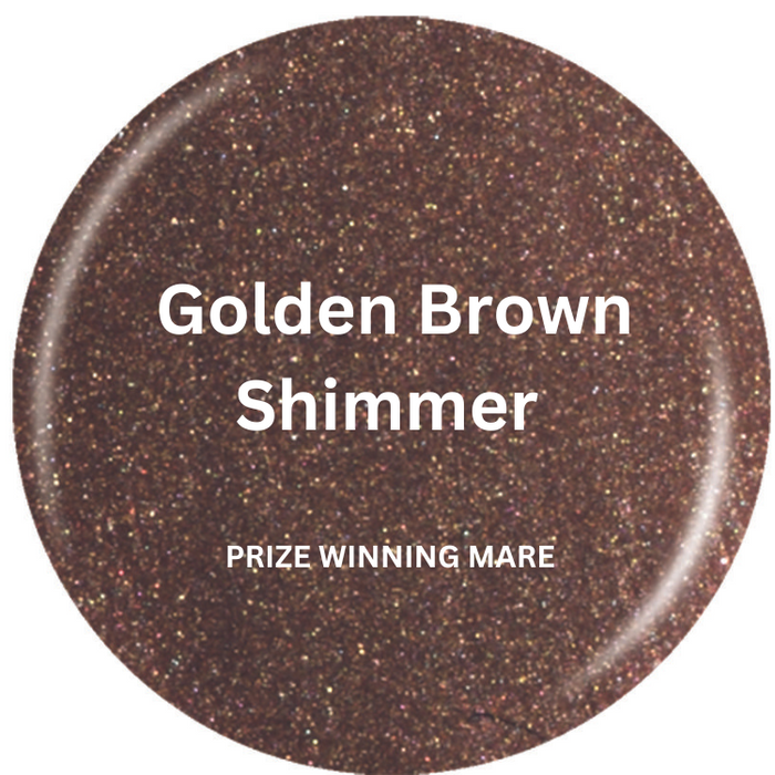 Saddle Brown / Prize Winning Mare