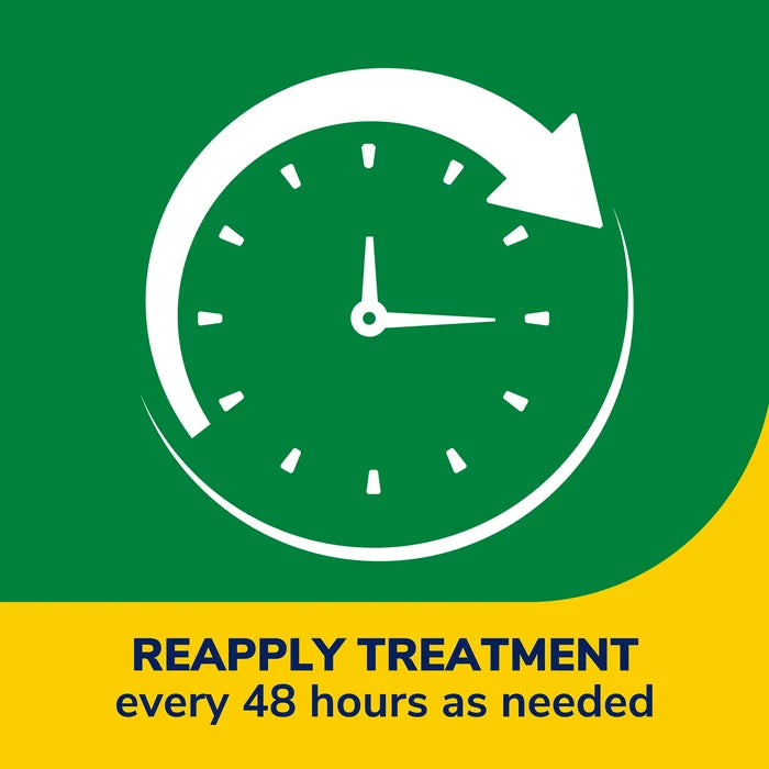 Reapply plantar wart remover treatment every 48 hours graphic with clock icon