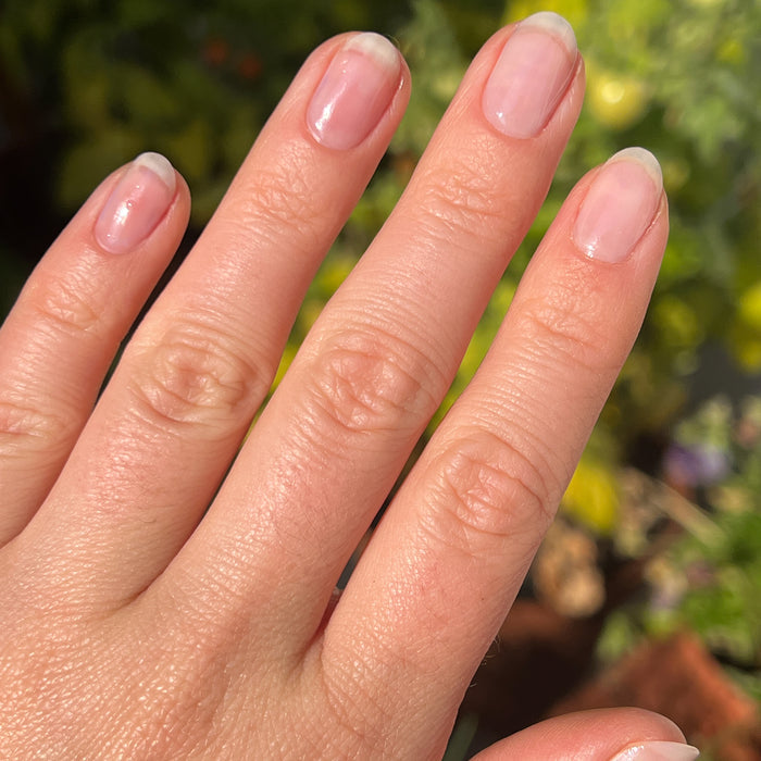 Fingernails with a natural look enhanced by Crystal clear polish for a shiny, effortless manicure in sunlight outdoors