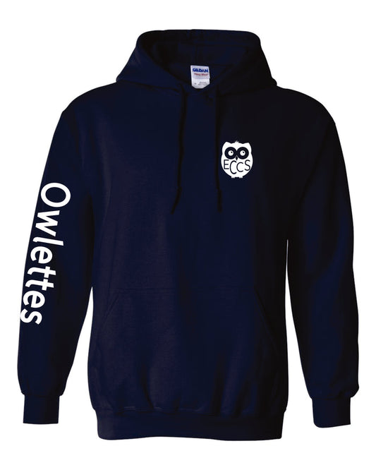DCSD ECE South Hoodie