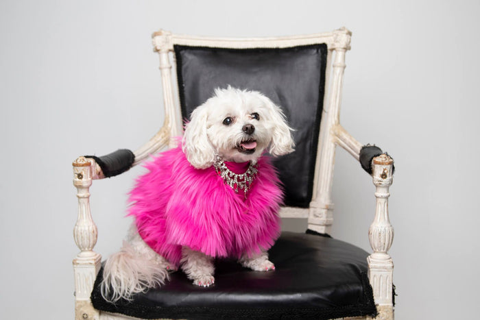 DIVA SWEATER
