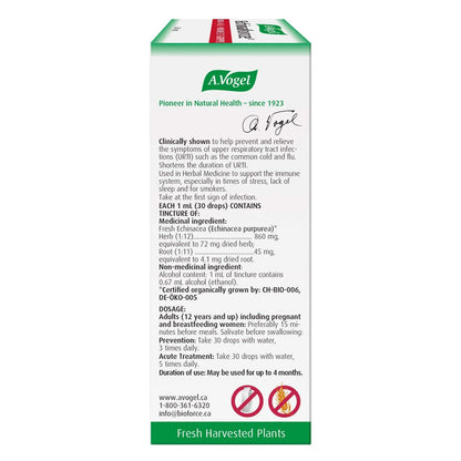 Box of A. Vogel Echinaforce Cold & Flu Tincture Back