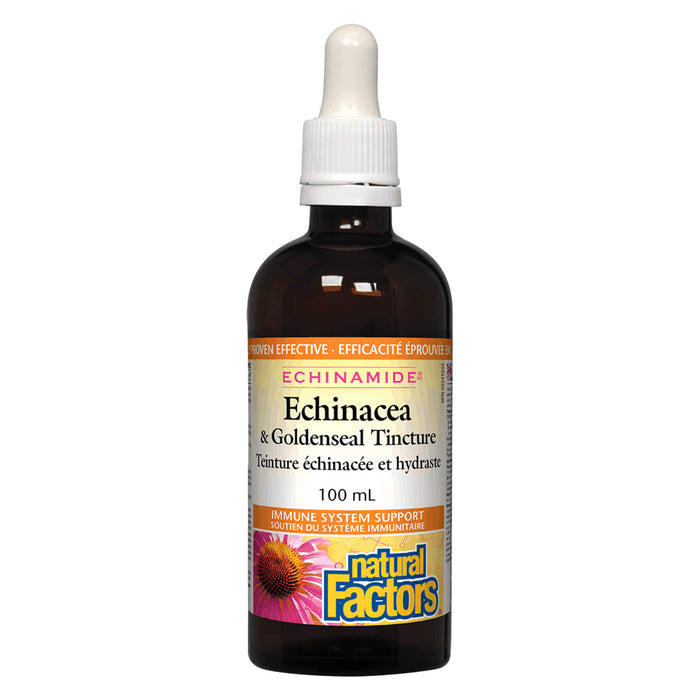 Dropper Bottle of Natural Factors Echinamide® Echinacea & Goldenseal Tincture 100 Milliliters