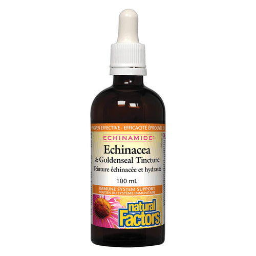 Dropper Bottle of Natural Factors Echinamide® Echinacea & Goldenseal Tincture 100 Milliliters