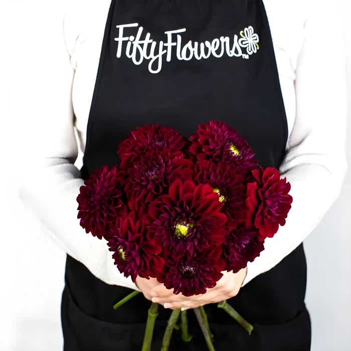 Fox Maroon Dahlia Flower Apron - Image
