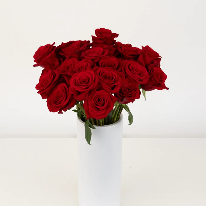 Freedom Ultra Novelty Rose Vase - Image