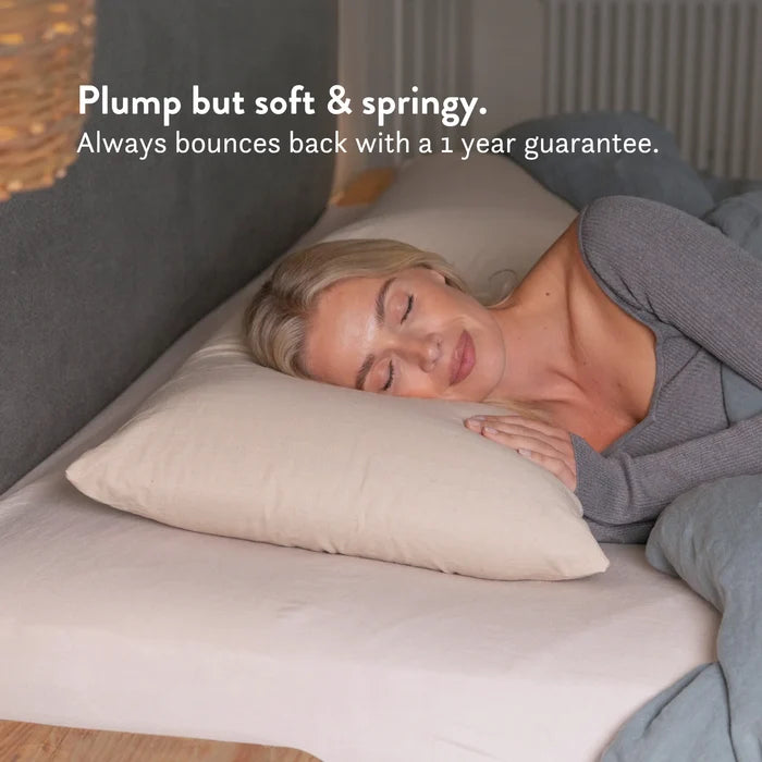 Graphite Latex Pillow - Natural foam pillow alternative soft bouncy supportive cooling 100% cotton undyed unbleached cover