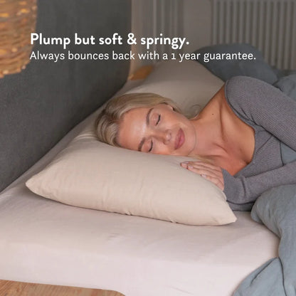 Graphite Latex Pillow - Natural foam pillow alternative soft bouncy supportive cooling 100% cotton undyed unbleached cover