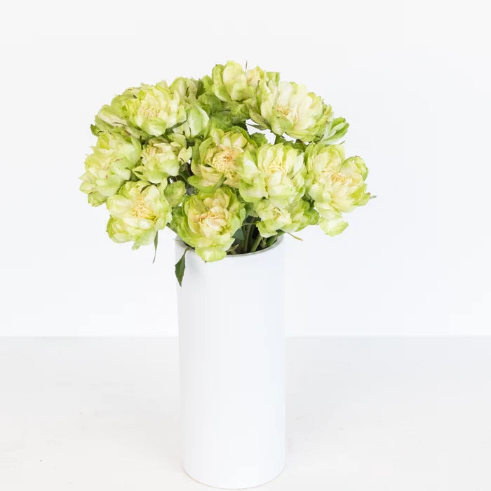 Green Veggie Roses Vase - Image