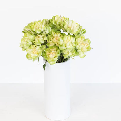 Green Veggie Roses Vase - Image