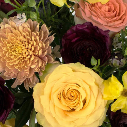 Cotopaxi Gold Close Up - Image