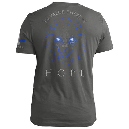 In Valor There is Hope 2.0