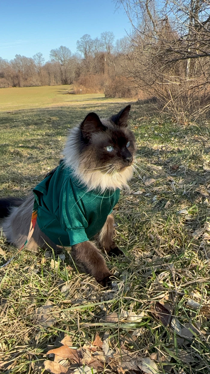 KELSEY SHIRT
