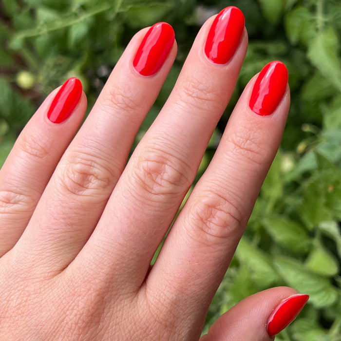 Hand with glossy Kiss Cam polish in bright cranberry red for a vibrant, long-lasting manicure by Olive and June