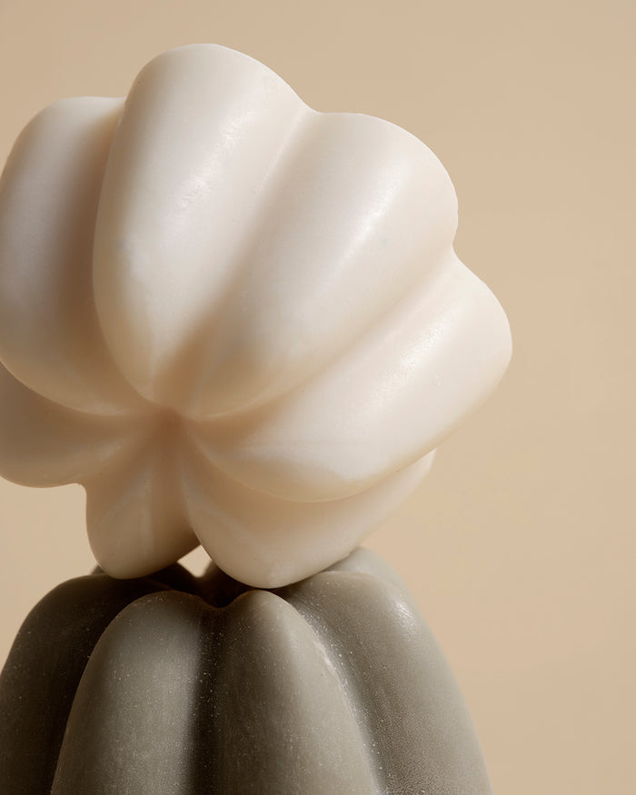 Le Shampoing Solide Rééquilibrant