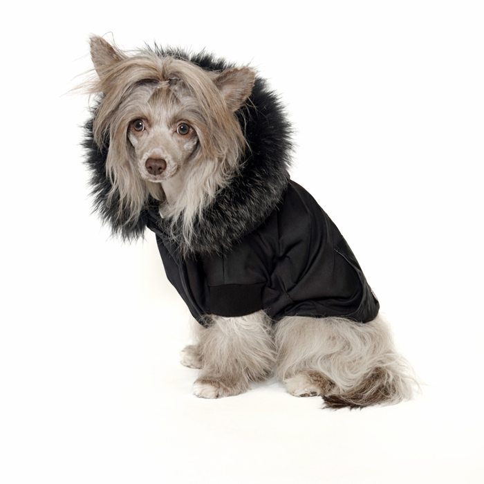 MAX HOODIE - BLACK FUR (Unisex)