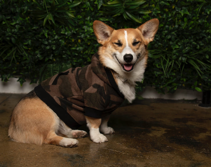 MAX HOODIE - CAMO (Unisex)