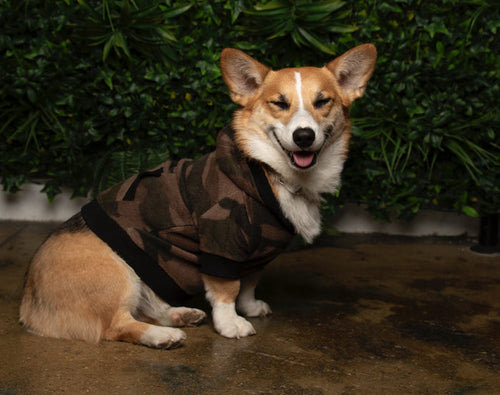 MAX HOODIE - CAMO (Unisex)