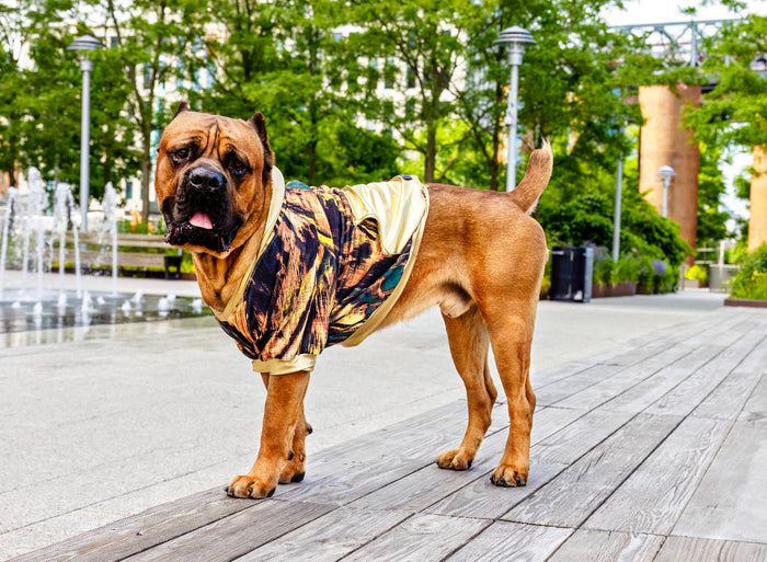 MAX HOODIE - LION PRINT (Unisex)