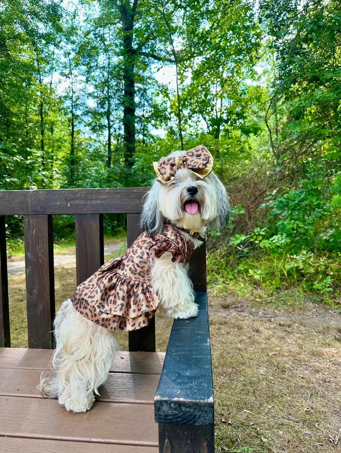 MAXIE DRESS - LEOPARD