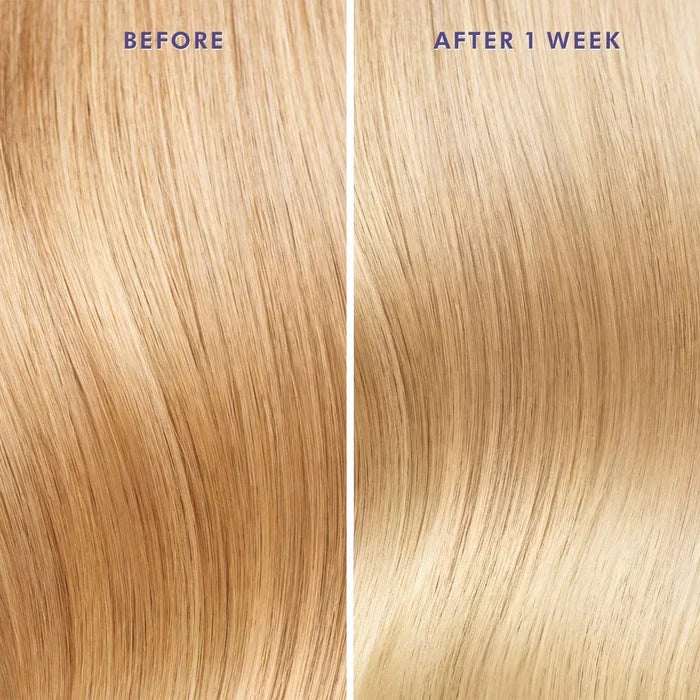 Moroccanoil Purple Hair Oil for Blonde Hair 50ml, beauty treatment, shiny and nourishing hair product in a sleek bottle