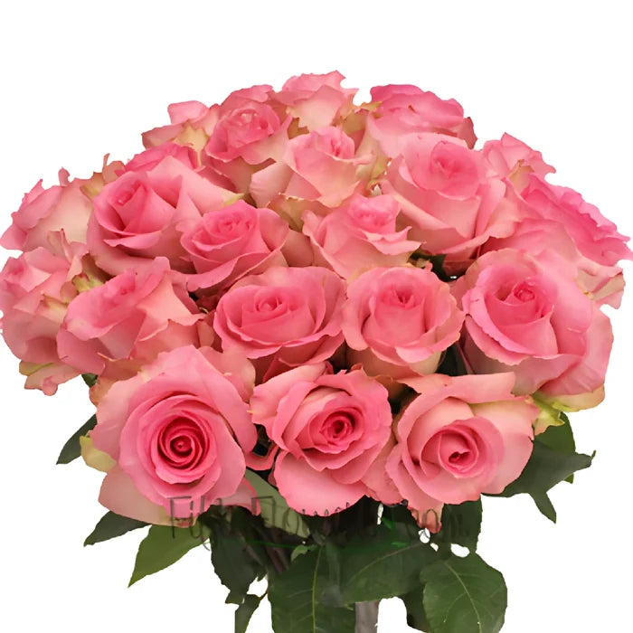 Priceless Pink Rose