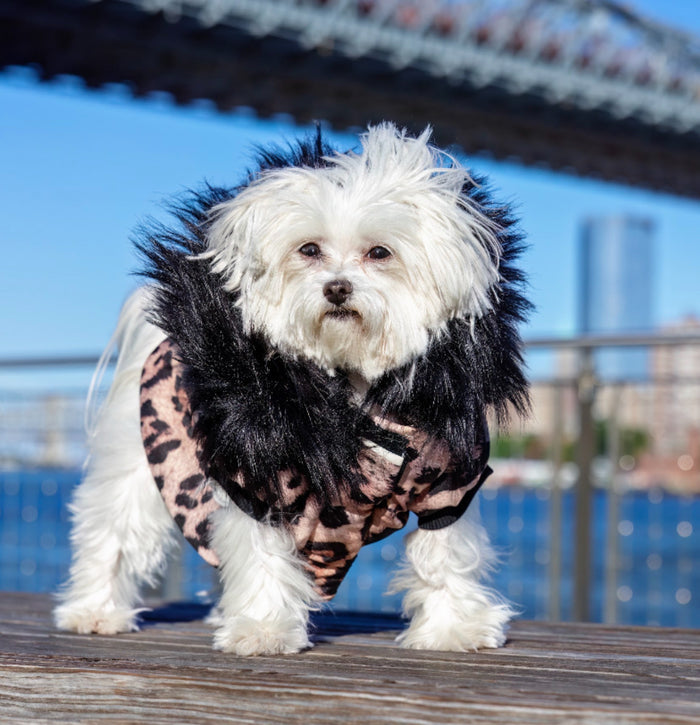 PUFFER JACKET