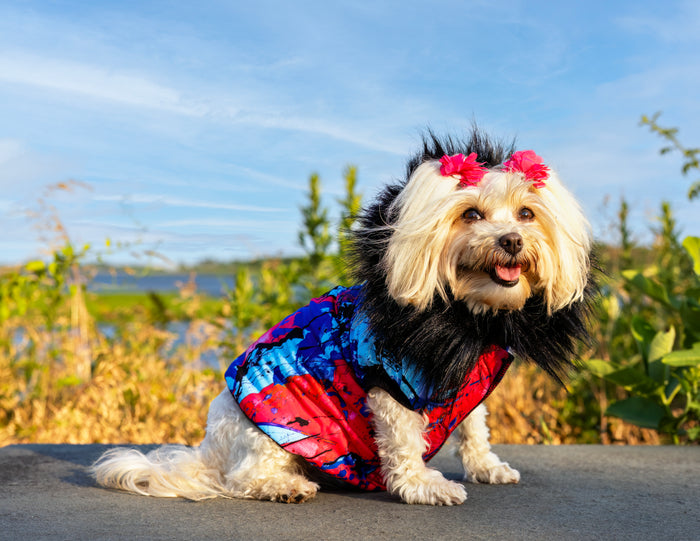 PUFFER JACKET
