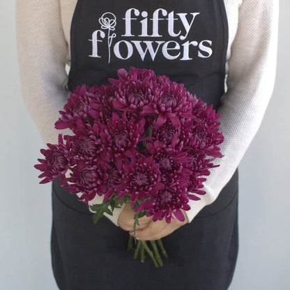 Purpleberry Dahlia Style Cushion Flower Apron - Image
