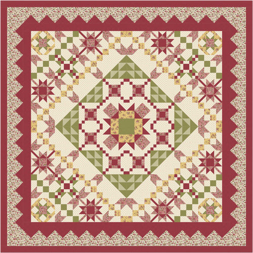 Raspberry Cheesecake Block of the Month Pattern #559