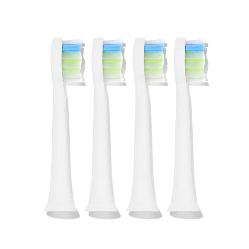 #seo: 4 têtes de brosse souple lebon