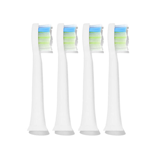 #seo: 4 têtes de brosse souple lebon