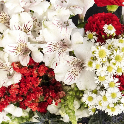 Red Textured Filler Flower Pack Close Up - Image