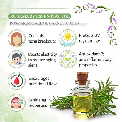 Rosemary Lavender Coconut Body Oil, Glowing Skin, Moisturizing Refreshing Aroma, Non Sticky Anti Aging, Essential Oil - Keya Seth Aromatherapy