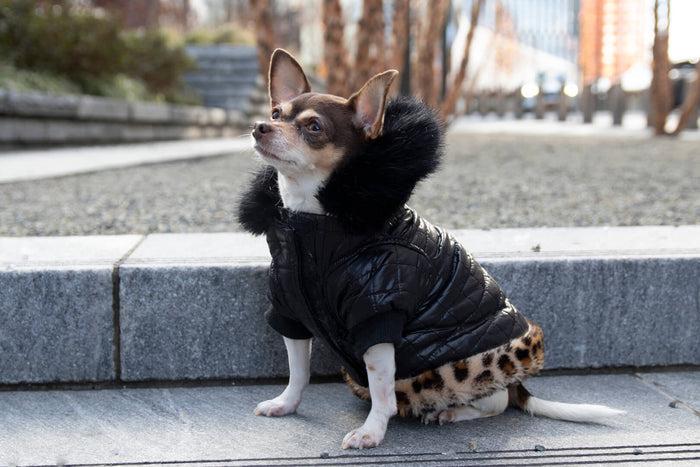 RYLEE PUFFER JACKET