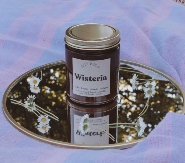 Shy Wolf Candles Wisteria home candle with a decorative glass holder and a wisteria floral scent, perfect for cozy ambiance.