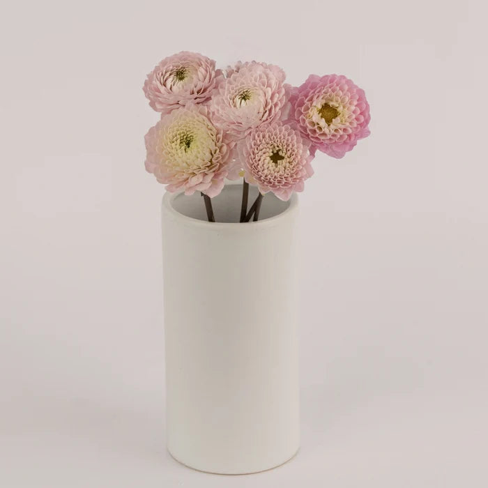 Sugar Plum Dahlia Flower Vase - Image