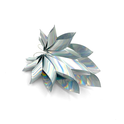 THE WINGS - holo/holo
