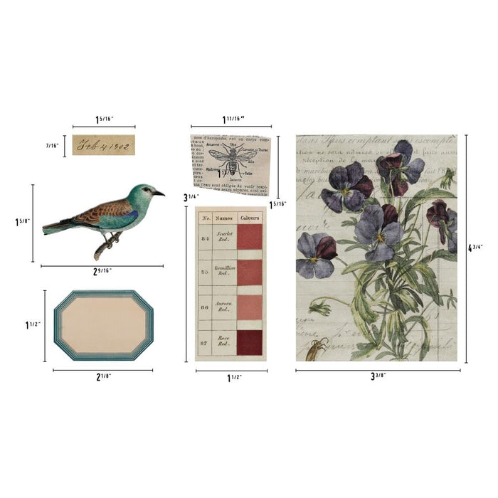 Tim Holtz - Idea-Ology - Transparent Things 2. Unleash your creativity with unique vintage transparent layers! Perfect for mixed media art projects, these layers offer a wide variety of designs, including birds, nature, and color swatches. Available at Embellish Away located in Bowmanville Ontario Canada.