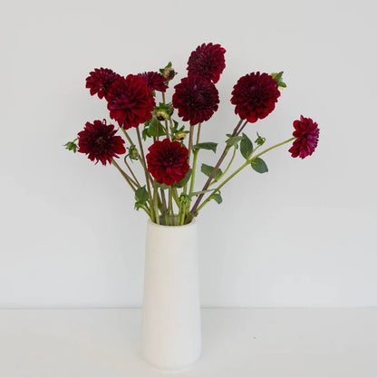 Velvet Wine Dahlia Flower Vase - Image