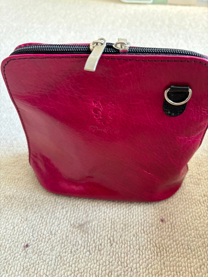 Raspberry with Black Accessories